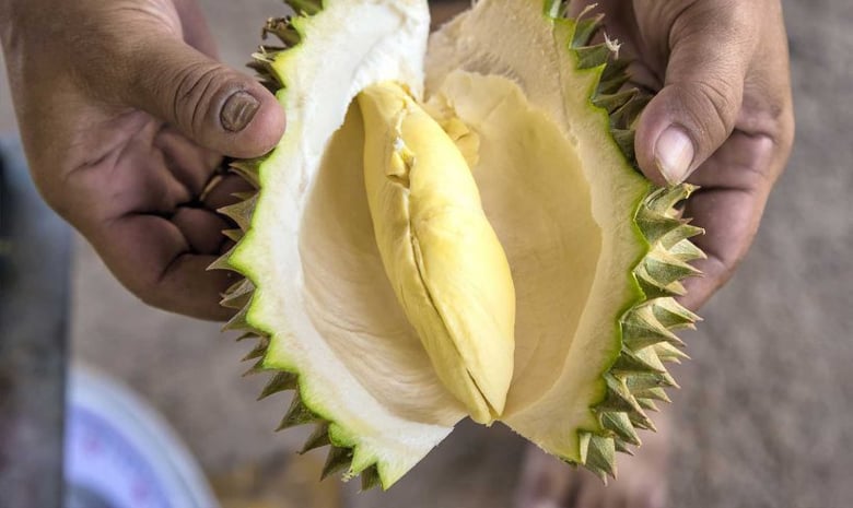 durian_1600x955-820x489